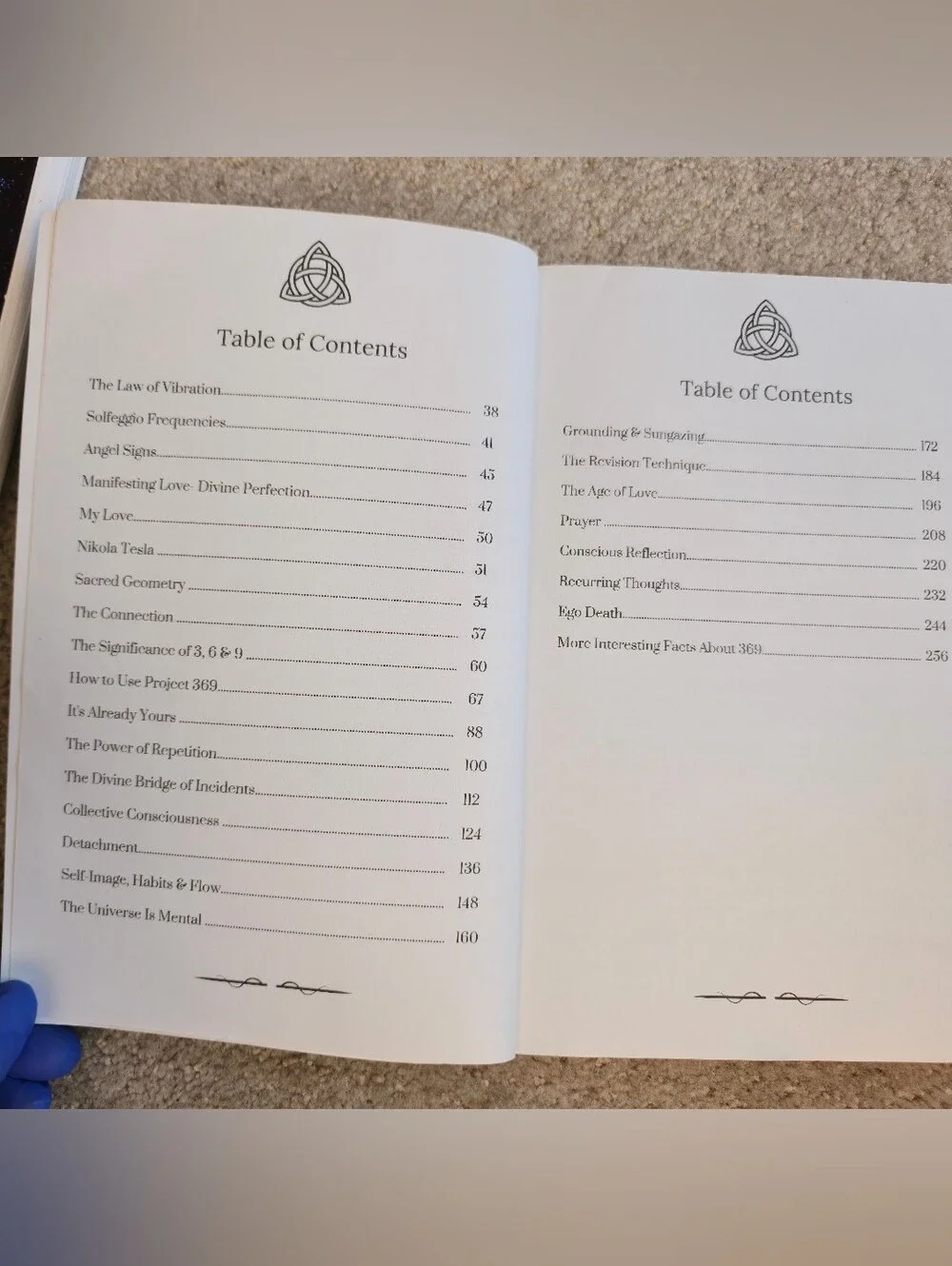 PROJECT 369 Manifestation Planner And Book David Kasneci New